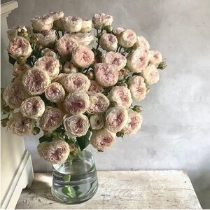 🎐 Thank You!!! 🎐